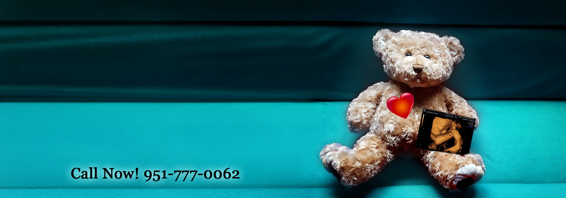 3D/4D Ultrasound Plush Teddy Bear Session Only $75